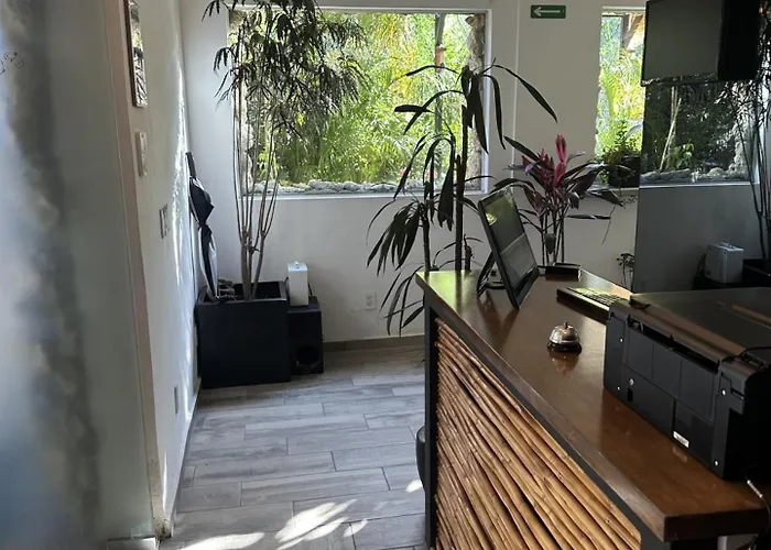 La Selva * Mexico City