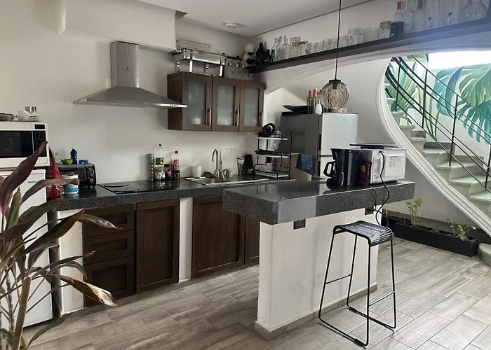 Guest house La Selva Mexico City