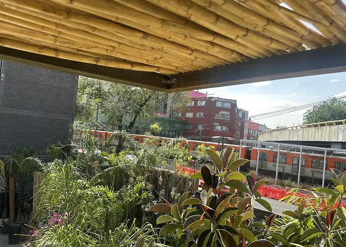 La Selva Guest house Mexico City