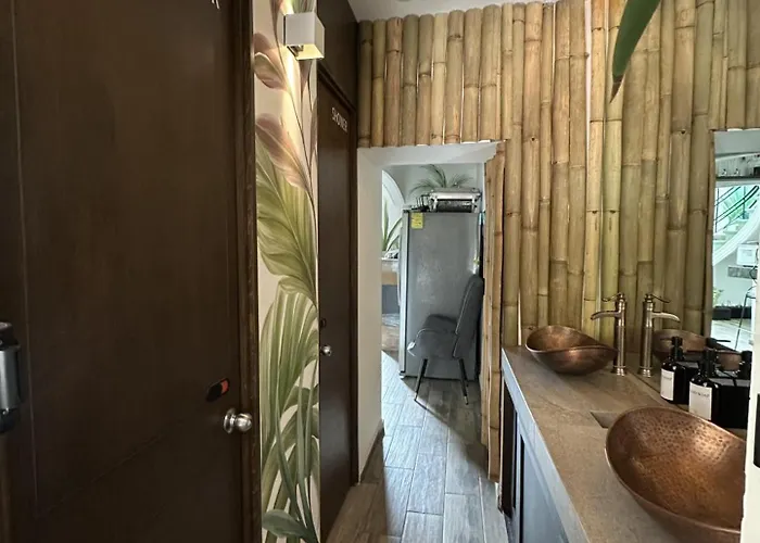 La Selva Guest house Mexico City