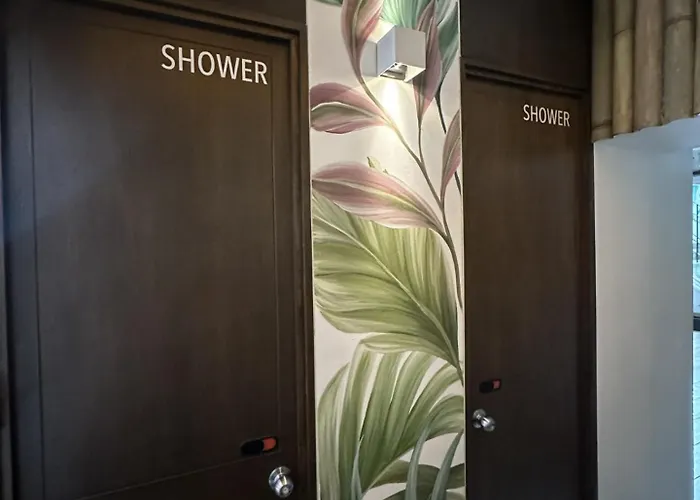 La Selva Guest house Mexico City