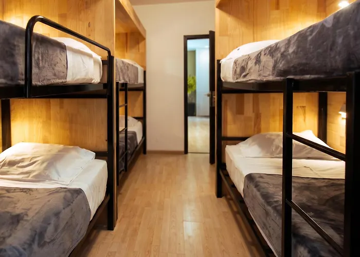 La Selva Guest house Mexico City