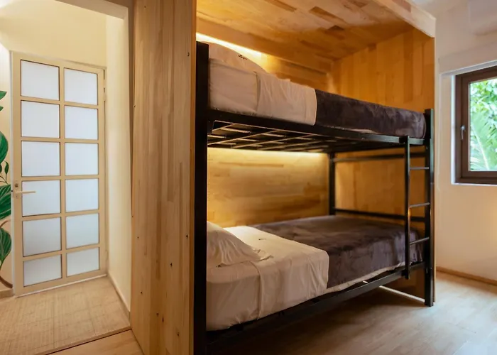 La Selva Guest house Mexico City