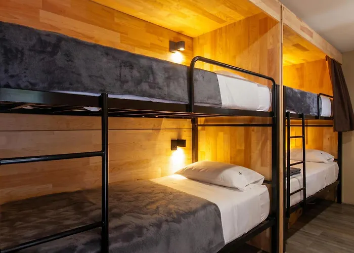 La Selva Guest house Mexico City